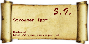 Strommer Igor névjegykártya